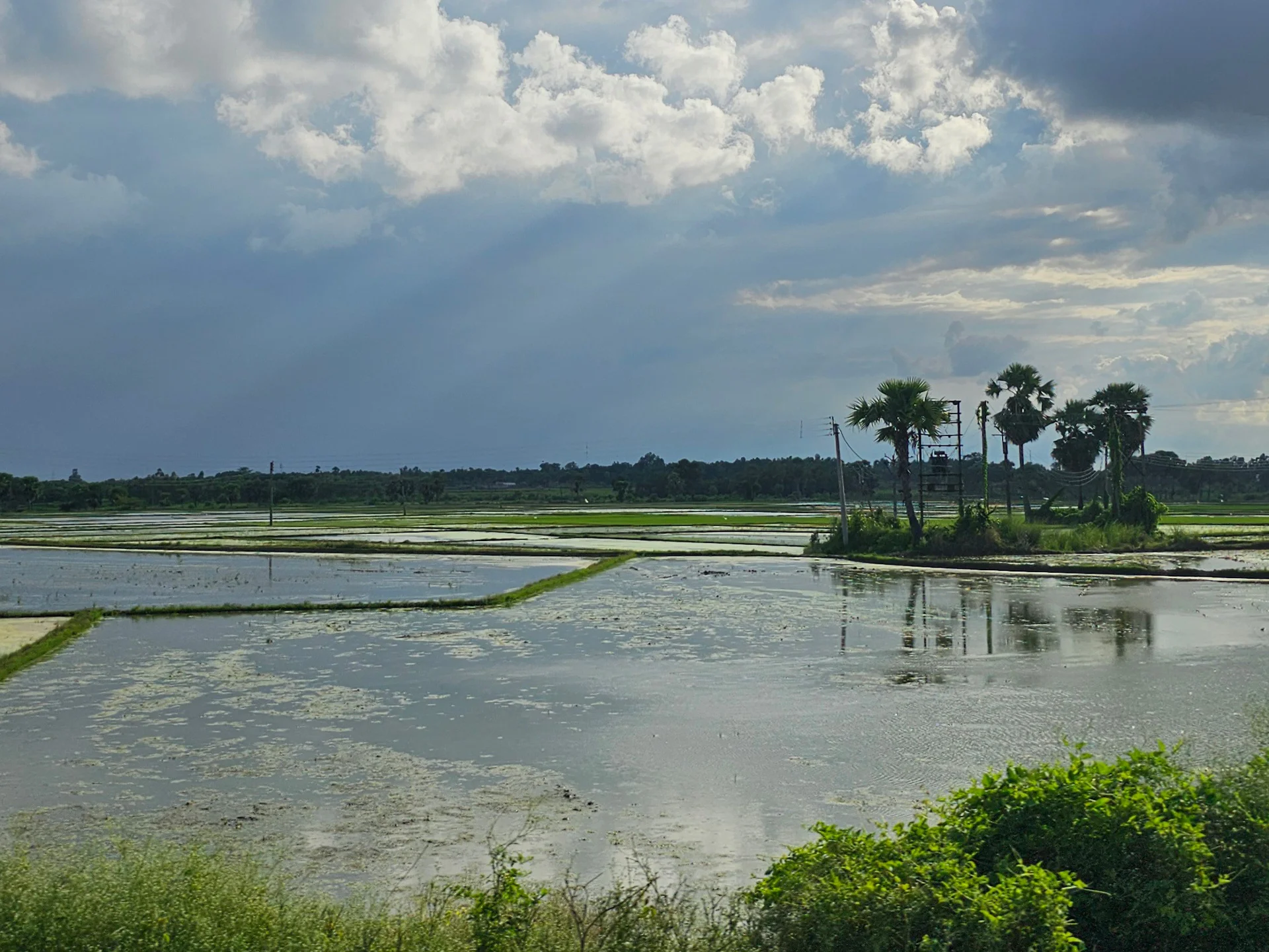Farming land in shantiniketan