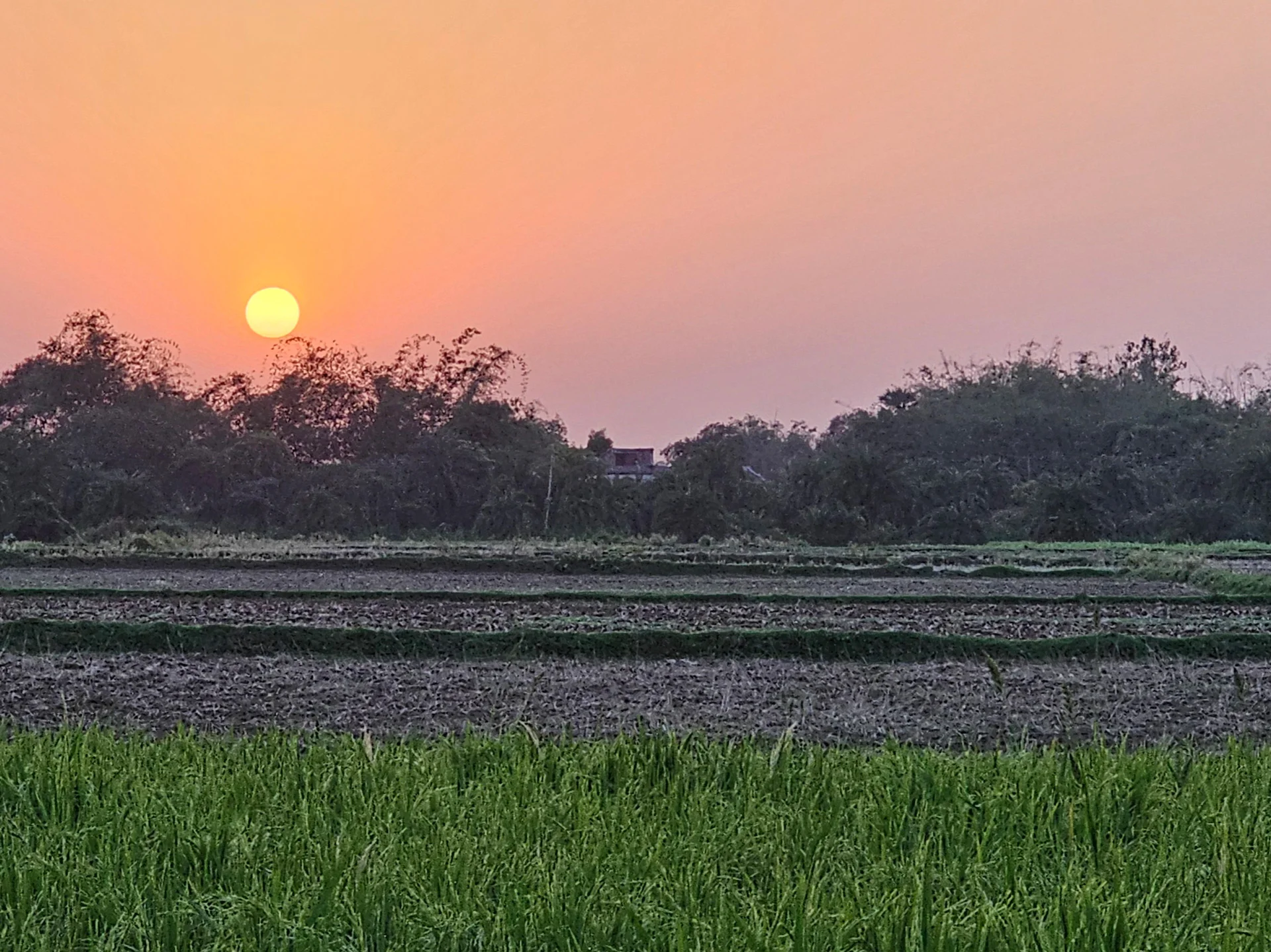 Sun set image in shantiniketan